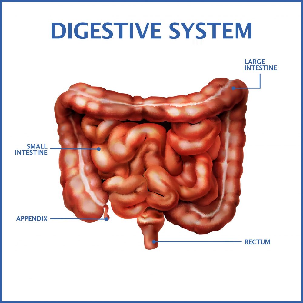 Rectal Bleeding As A Symptom | Gastroenterology of Greater Orlando