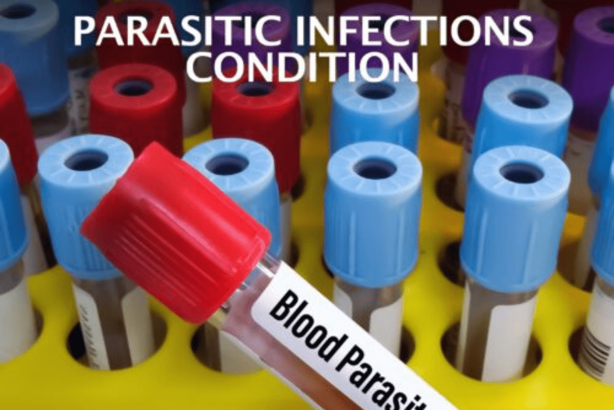 Parasitic Infections Condition